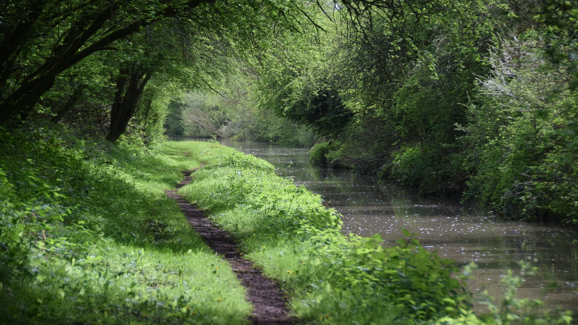 Canal towpath disappearing into distance